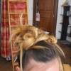 coiffure