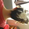 suite coiffure