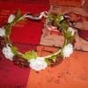 couronne pour les louloutes