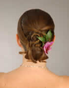 marie chignon bas