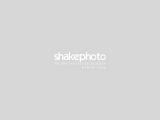 SHAKE PHOTO - Photo Vido - Bas Rhin (Strasbourg-Sarreguemines)